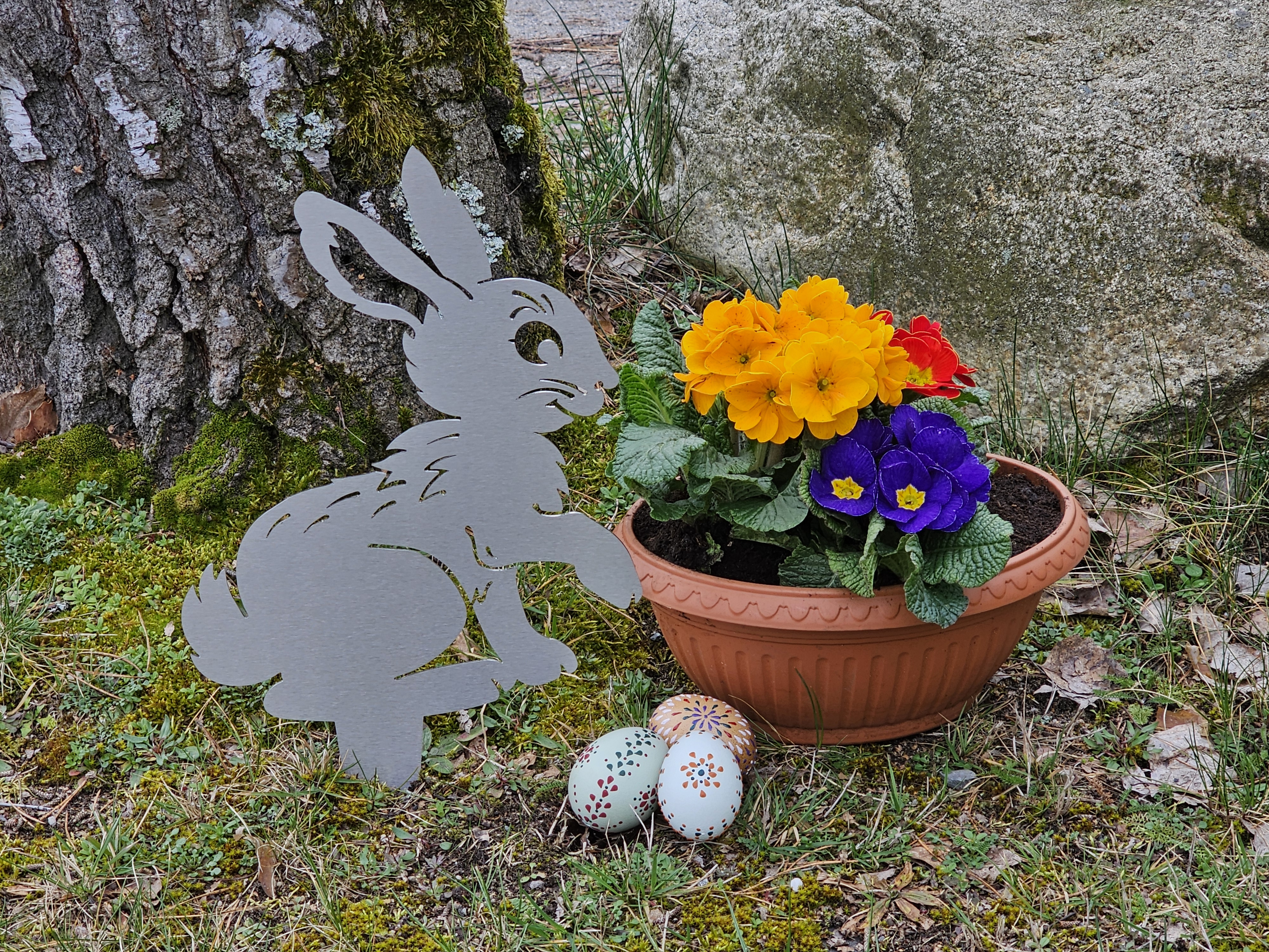 Hase Stecker